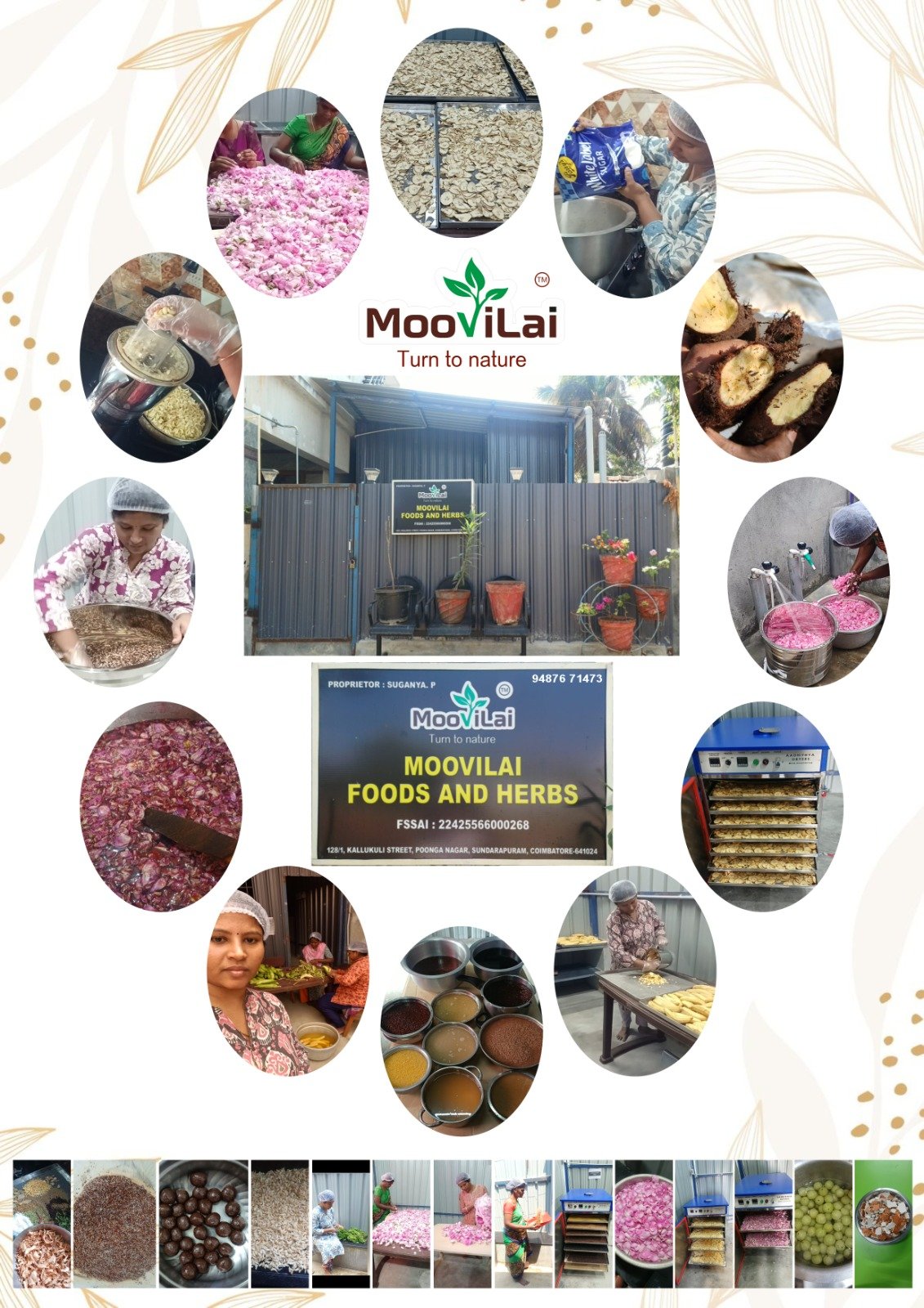 Nature-Powered Juices<br>and Health Powders